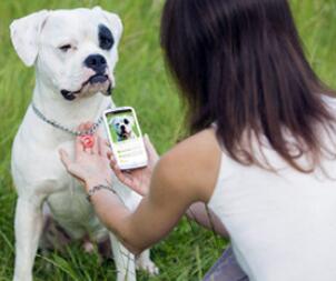 pet tracking.jpg